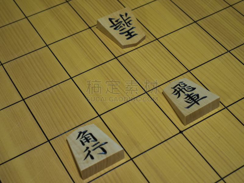 将棋,乐趣,团体性运动,棋盘游戏,休闲活动,水平画幅,日本,休闲游戏,业余爱好,摄影