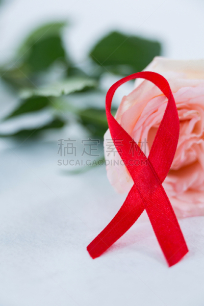 特写,红色,粉色,玫瑰,艾滋病警示丝带,垂直画幅,形状,世界艾滋病日,符号,前景聚焦