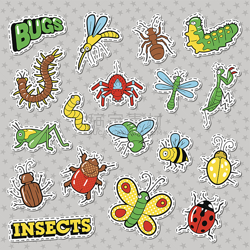 昆虫,标签,证章,眼罩,甲虫,瓢虫,蟋蟀,纺织补丁,珠针,毛虫