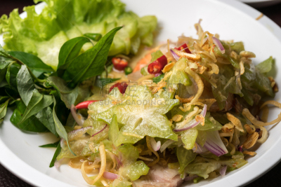 苹果,老虎菜,金星果,米饭沙拉,葱,蔬菜,泰国食品,健康食物,泰国,图像