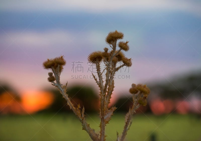 地形,潘帕斯大草原,南美,阿根廷,水平画幅,巴塔哥尼亚,抽象,拉潘帕市,户外,拉丁美洲