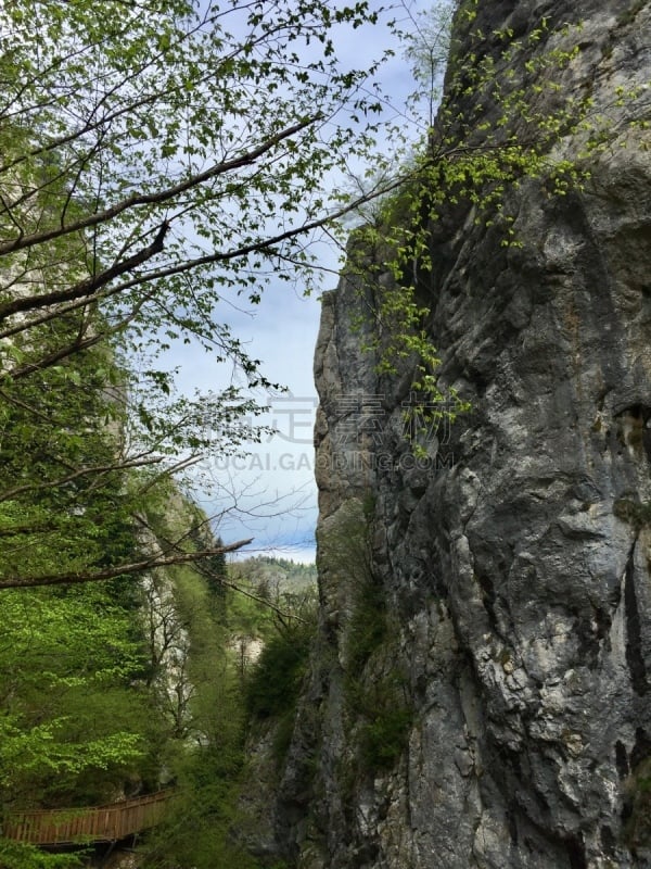 非凡的,土耳其,山脉,峡谷,看风景,地形,户外,绿色,石材,木制