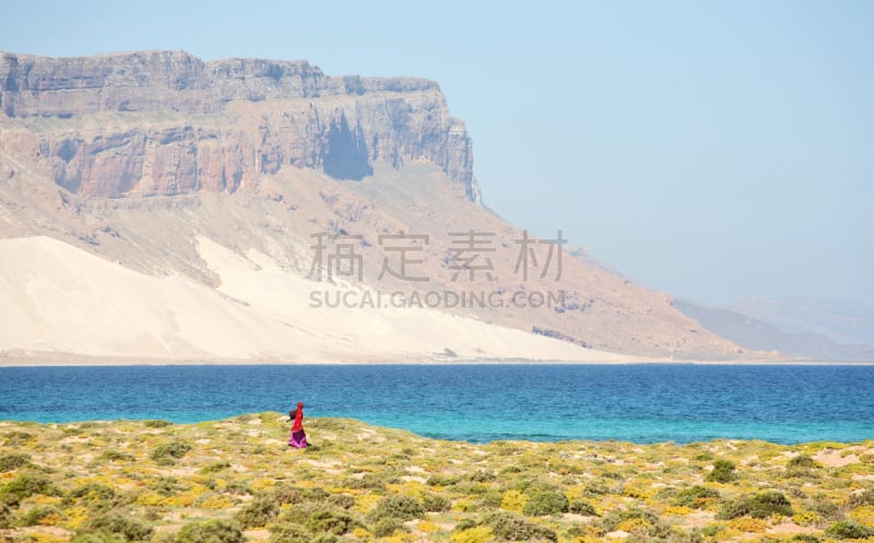 索科特拉岛,自然美,岛,海湾,水,天空,海浪,海滩,热带气候