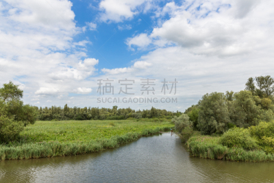沼泽,荷兰,特拉华,多德雷赫特,水,天空,美,水平画幅,无人,夏天