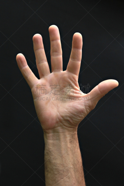 手,男人,速度滑冰,停止手势,五个物体,垂直画幅,四肢,符号,白人,男性