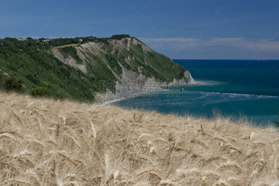 波多诺伏,海湾,水,水平画幅,尖的,无人,海岬,夏天,户外