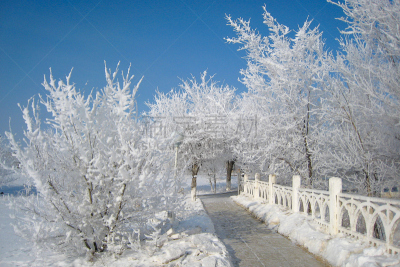 哈萨克斯坦,冬天,拜科努尔,天空,美,公园,水平画幅,雪,无人,户外