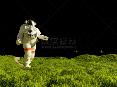 宇航员,太空,水平画幅,科学,草,月球,工程,探险,摄影,旅行