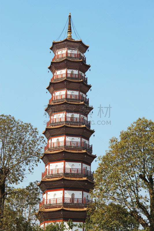 数字6,寺庙,宝塔,榕树,菩提树,广州,式样,垂直画幅,灵性,户外