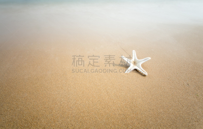 海景,北戴河,女王凤凰螺,休闲活动,沙子,贝壳,海岸地形,巴哈马国,拉丁美洲,海滩