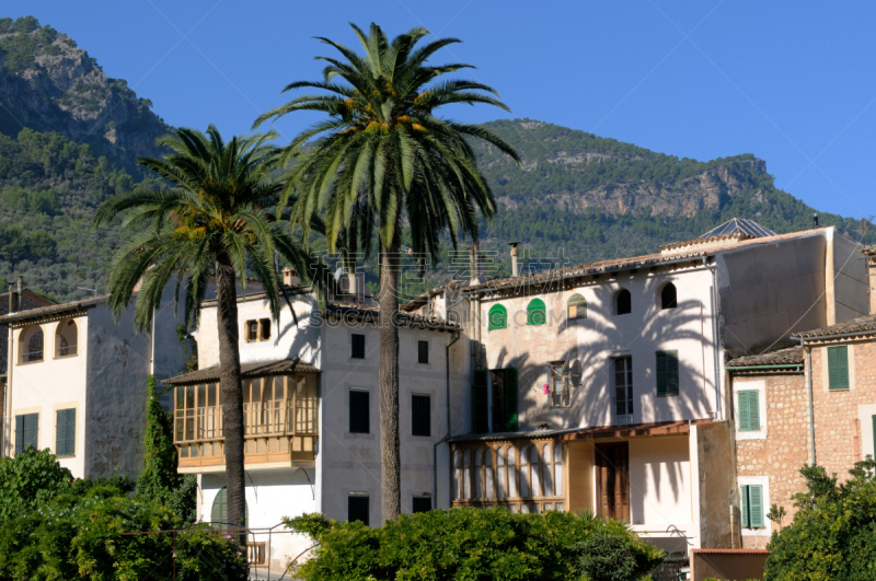 酒店,棕榈树,欧洲,建筑结构,Puerto de Soller,马略卡,图像,小旅馆,日光,度假