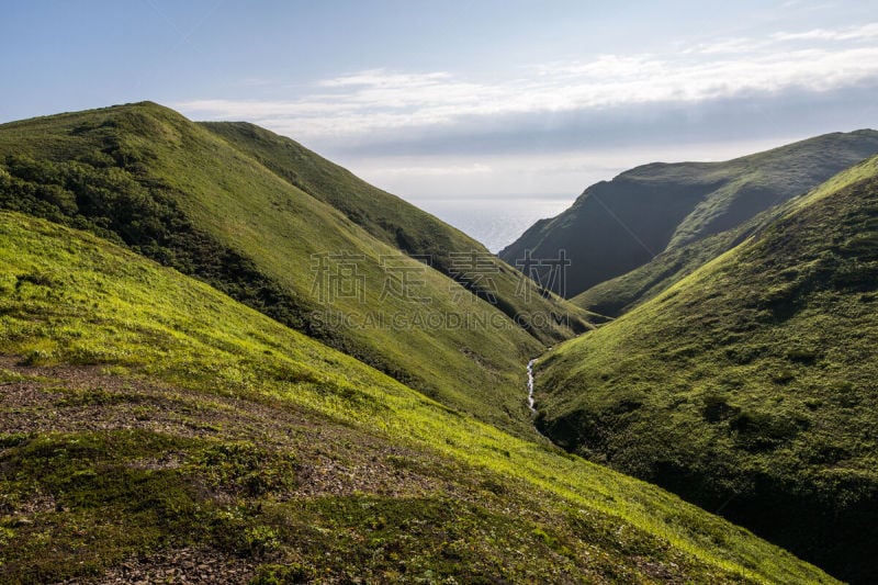 风景,高尔夫球场,森林,水,美