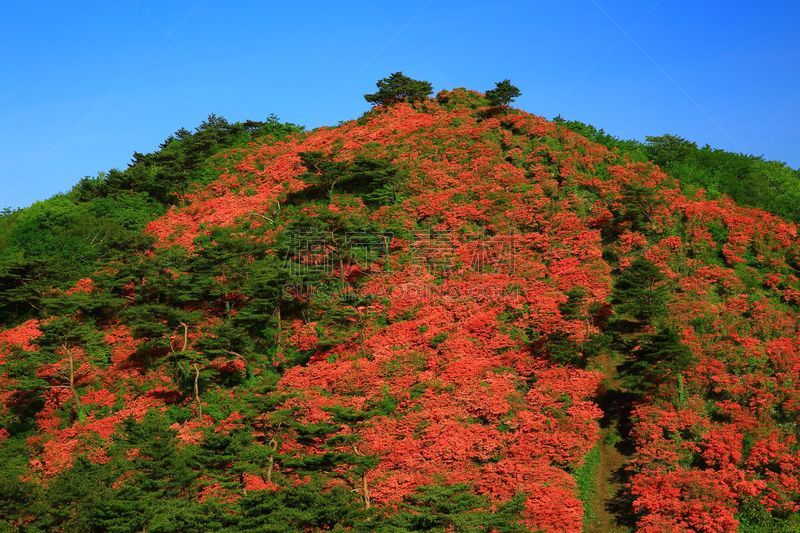 山,绿色,清新,天空,水平画幅,无人,早晨,户外,光,植物