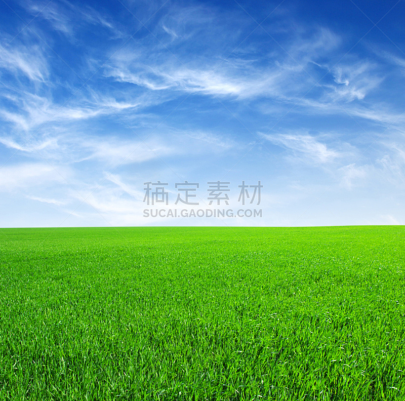 田地,自然,草地,水平画幅,地形,无人,蓝色,草坪,夏天,户外