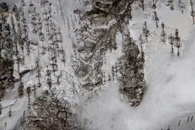 雪,奥地利,冬天,白桦,树皮,季节,上阿迪杰,留白,气候,纹理效果