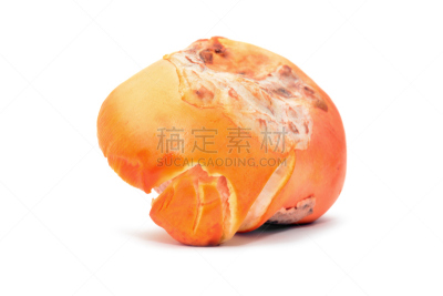 该撒利亚,鹅膏菌,伞形毒菌,水平画幅,橙色,无人,蘑菇,背景分离,食用菌,白色