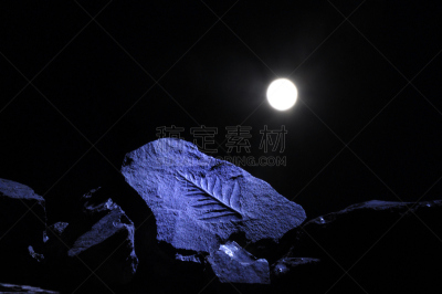 叶子,月光,惊骇,水平画幅,夜晚,无人,月亮,衰老过程,古老的,矿坑