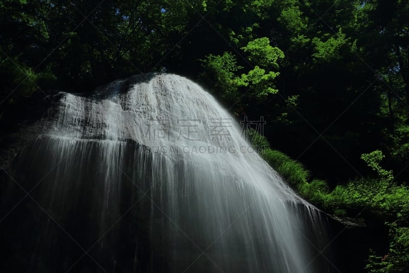 夏天,shiraito falls,水,天空,水平画幅,瀑布,户外,著名自然景观,植物,山