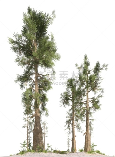 三维图形,绘画插图,史前时代,分离着色,白色背景,背景分离,环境,已灭绝生物,侏罗纪,中生代