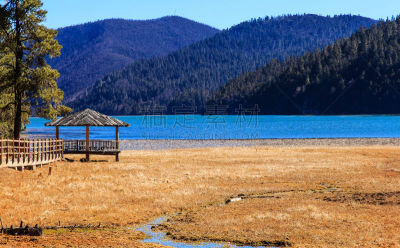 森林,公园,自然,印度次大陆,风景,图像,湖洞,草,无人,中国