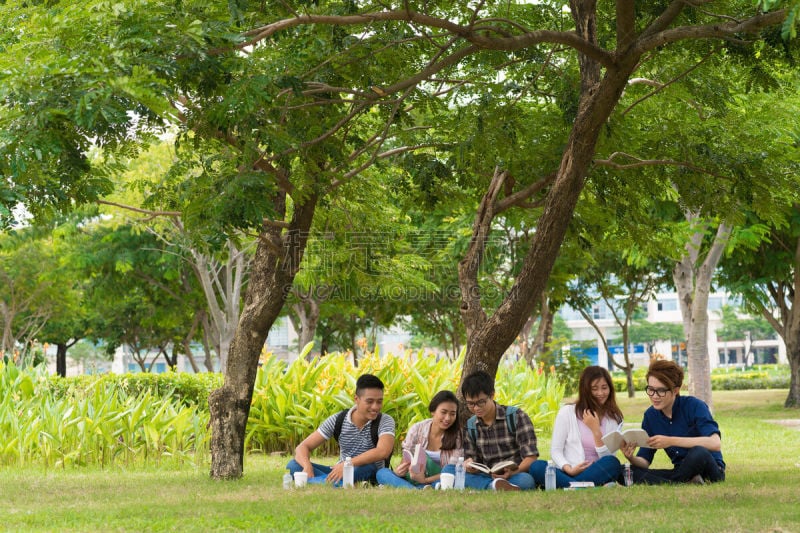 知识,校园,高中,大学,水,青少年,留白,智慧,夏天,周末活动