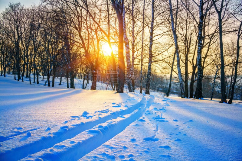 滑雪痕,冬天,森林,天空,雪,旅行者,都市风景,白色,十二月,风景