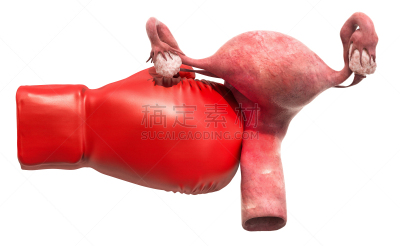 三维图形,白色背景,痛苦,分离着色,拳击手套,卵巢,子宫颈,输卵管