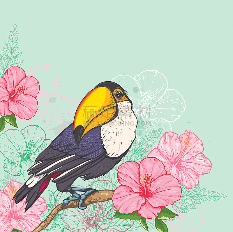 巨嘴鸟,粉色,热带的花,巨嘴鵎鵼,华丽的,贺卡,彩色背景,热带气候,一只动物,草