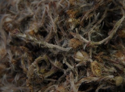 母亲,饮料,农业,蔬菜,继母,背景分离,食品,环境,成分,自然美