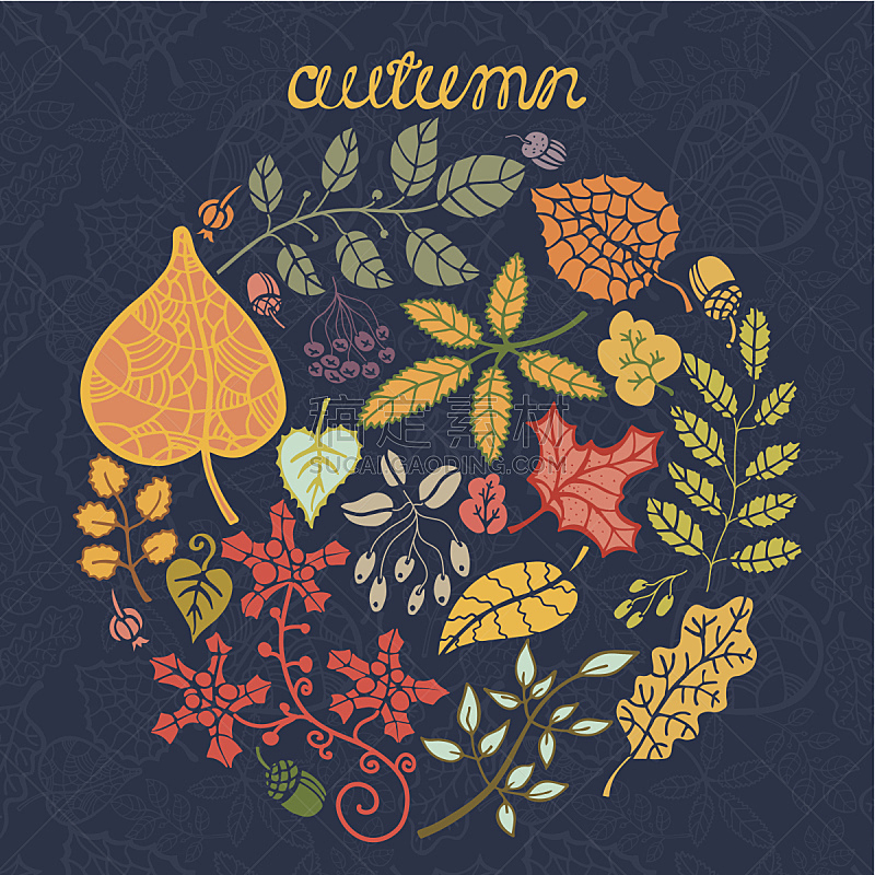 圆形,秋天,叶子,浆果,橡树果,枝,华丽的,纹理效果,十月,部分