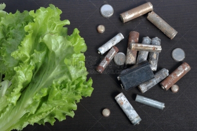 环境保护,电池,循环利用,地球日,绿色,莴苣,锅,活力,农业,有毒废物