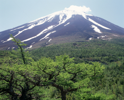 富士山,清新,风景,天空,六月,水平画幅,无人,户外,植物,山