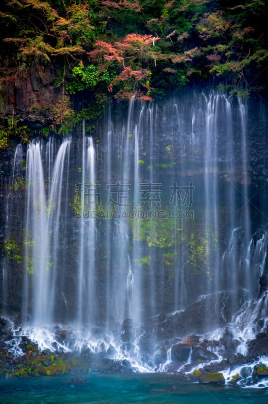 静冈县,日本,秋天,shiraito falls,湿,纯净,清新,自然界的状态,富士宫,公园