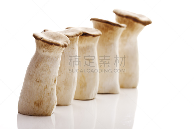 杏鲍菇,食用菌,小号,蚝蘑,褐色,水平画幅,枝繁叶茂,生食,特写,活力