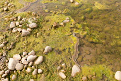 河流,石材,自然,洛克菲勒中心,白色,建筑结构,湿,哈萨克斯坦,风景线拱,图像