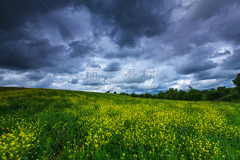 天空,田地,云,在下面,暴风雨,气候,水平画幅,无人,草坪,夏天