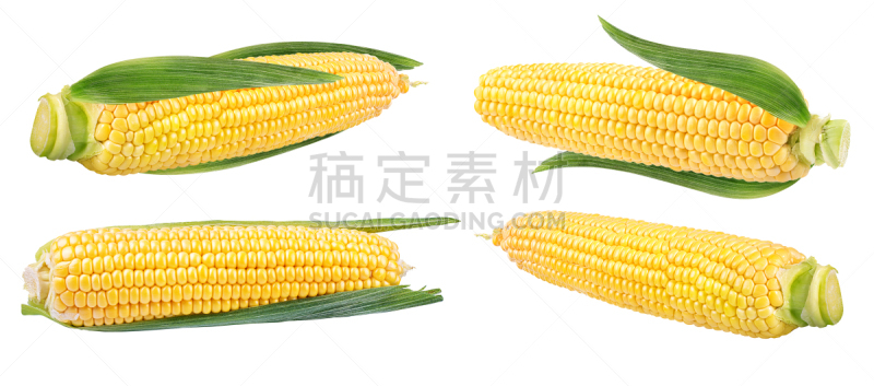 玉米,白色,分离着色,谷虫,外壳,甜玉米,营养学家,爆米花,谷类
