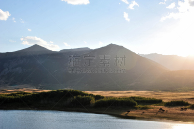 草原,山,在上面,滑铁泸国家高原,美洲野牛,草地围场,丘陵起伏地形,国家公园,水平画幅,阿尔伯塔省