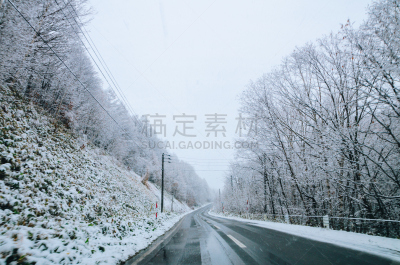 冬天,日本,北海道,美瑛町,天空,美,公园,水平画幅,夜晚,雪