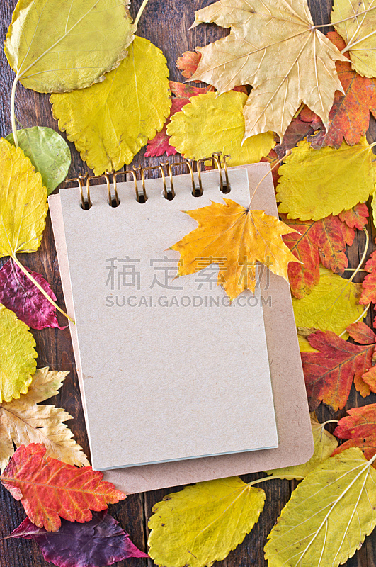 秋天,背景,垂直画幅,褐色,纹理效果,无人,配方,植物,十月,叶子