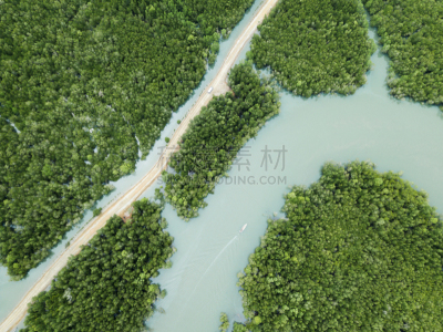 河流,旅游目的地,巴士,热带雨林,渔船,土路,森林,平衡,下移,放牧