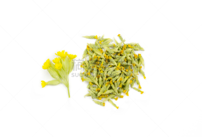 黄花九轮草,白色,概念,干的,草药,茶树,分离着色,山,樱草属