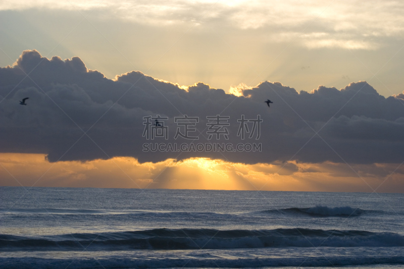 海洋,鸟类,水,海岸地形,海浪,私密,海滩,彩色图片,海景,泰国湾