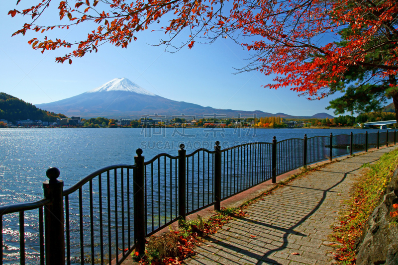 富士山,河口湖,自然,水平画幅,地形,无人,火山地形,日本,枫树,户外