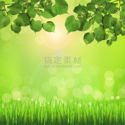 绿色,环境,背景,散焦,抽象,自然,眨眼,绘画插图,草,明亮