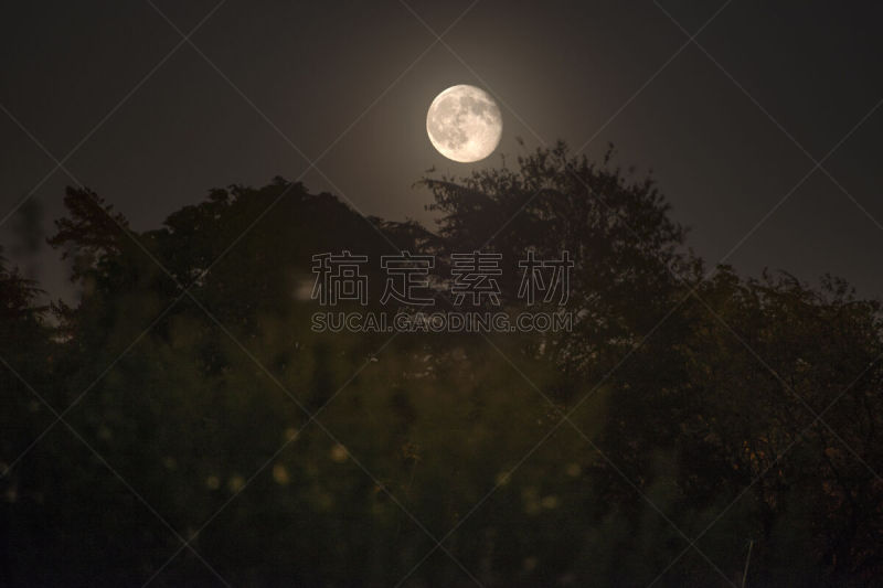 月亮,林荫大道,在上面,天空,虚构的人物,水平画幅,夜晚,无人,黑色,月球