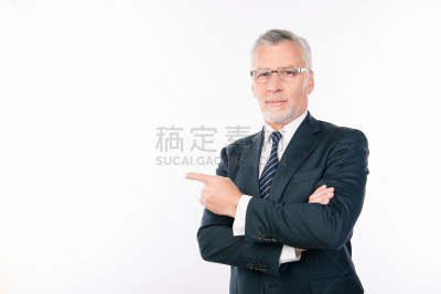 络腮胡子,智慧,男商人,眼镜,信心,灰发,讲师,导演,办公室,领导能力