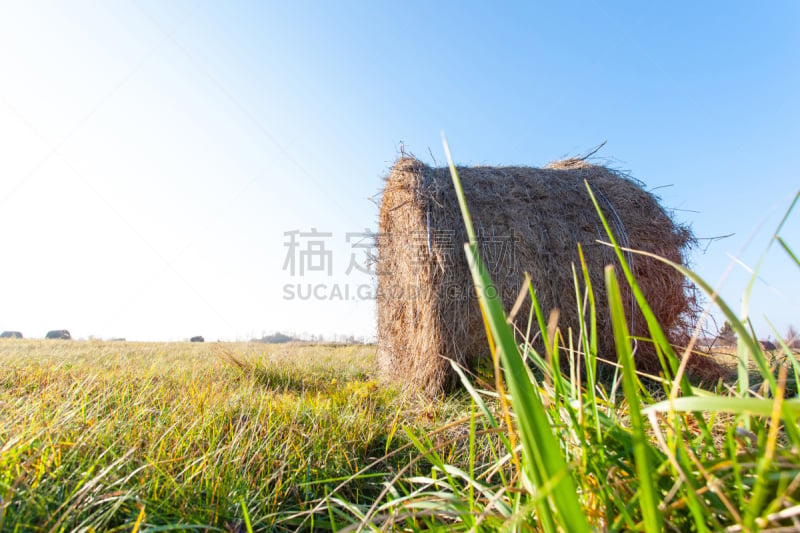 天空,田地,白昼,在下面,草垛,色彩鲜艳,日光,蓝色,美国公开赛,卷起