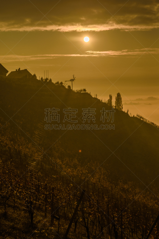 stajerska,自然,垂直画幅,山,无人,早晨,山谷,森林,斯洛文尼亚,背景