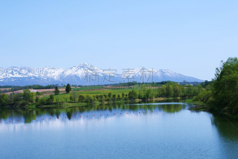 北海道,美瑛町,雪,连续性,加冕式,天空,水平画幅,富良野盆地,银泉市,日本